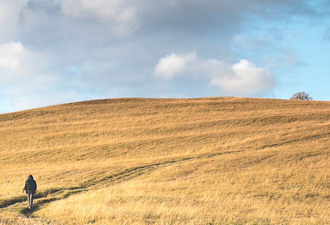 Příloha komentáře