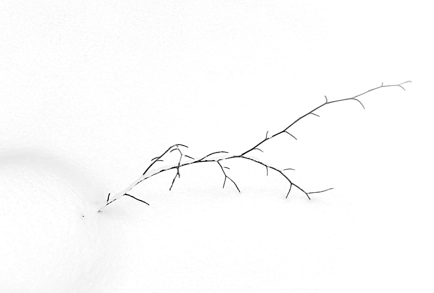 Příloha komentáře