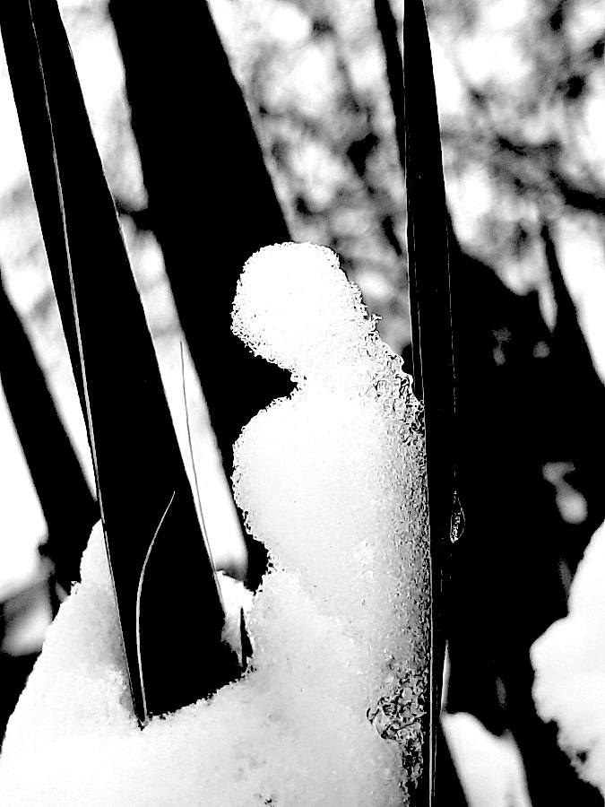 Příloha komentáře