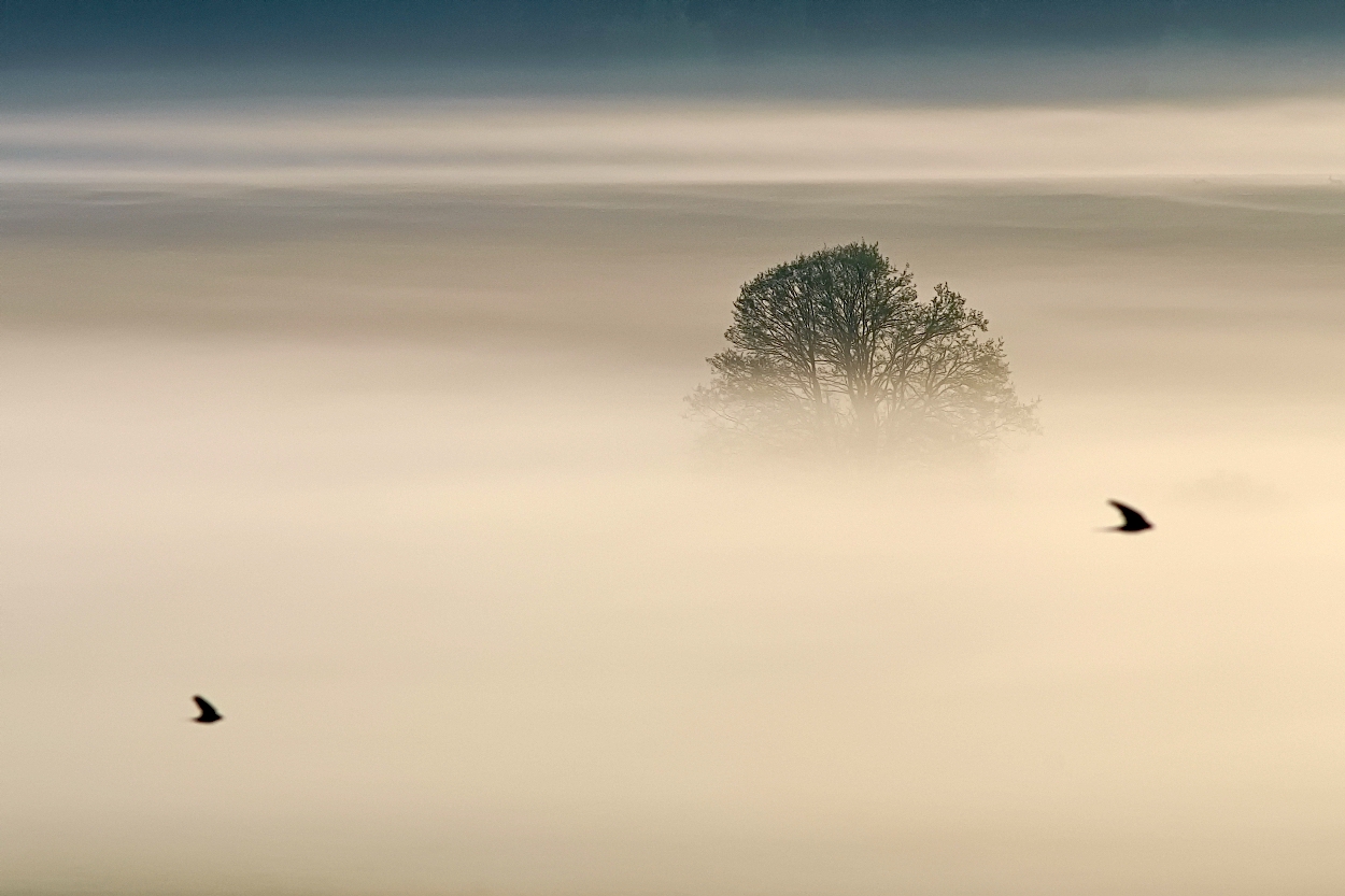 Příloha komentáře
