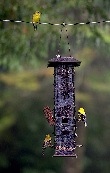 Příloha komentáře