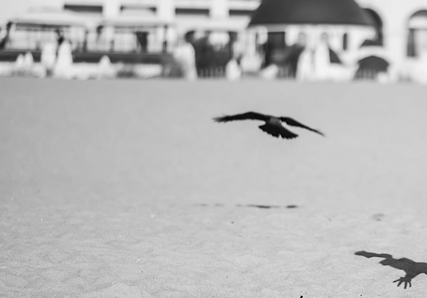 Příloha komentáře