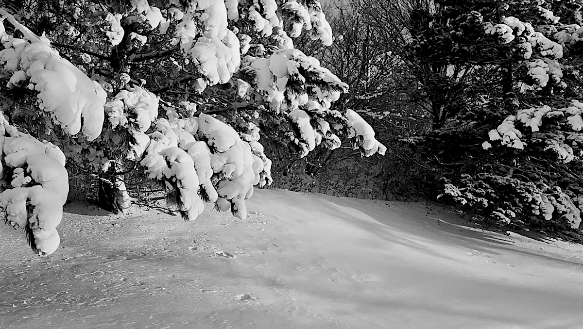 Příloha komentáře