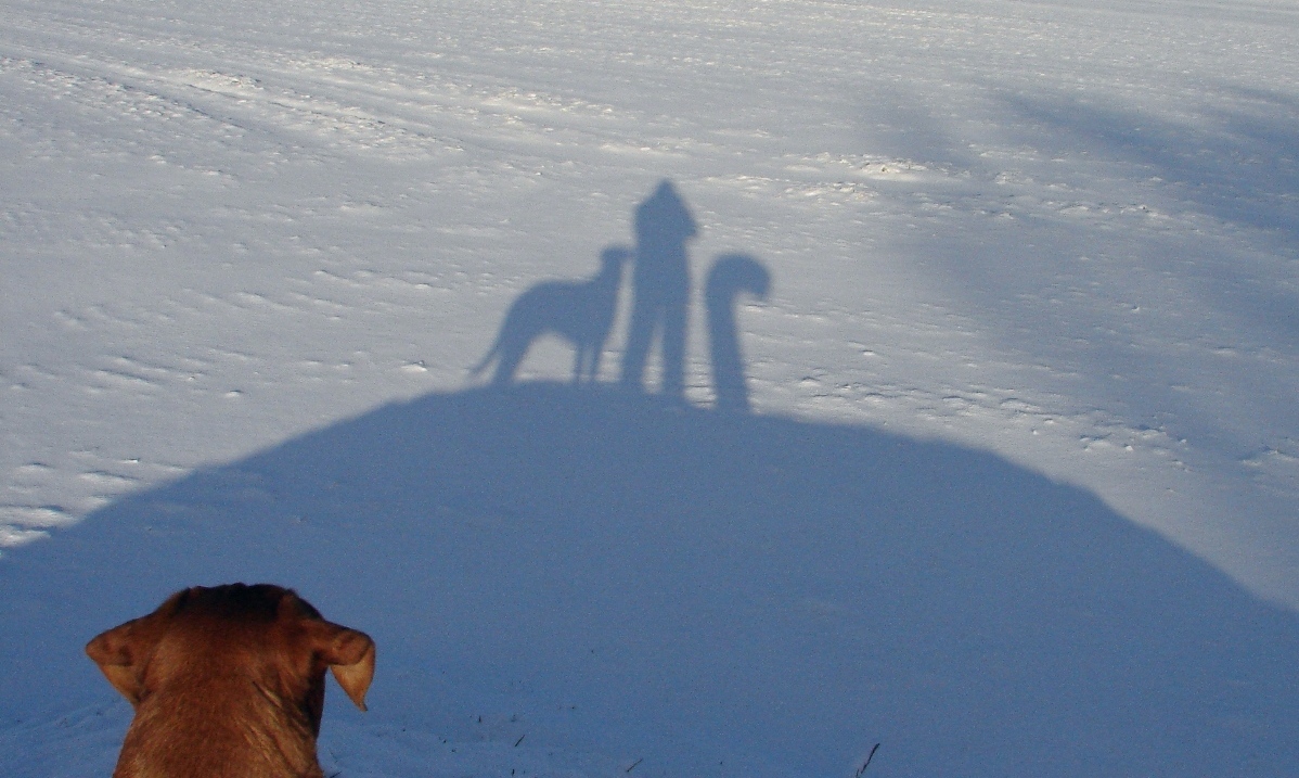Příloha komentáře
