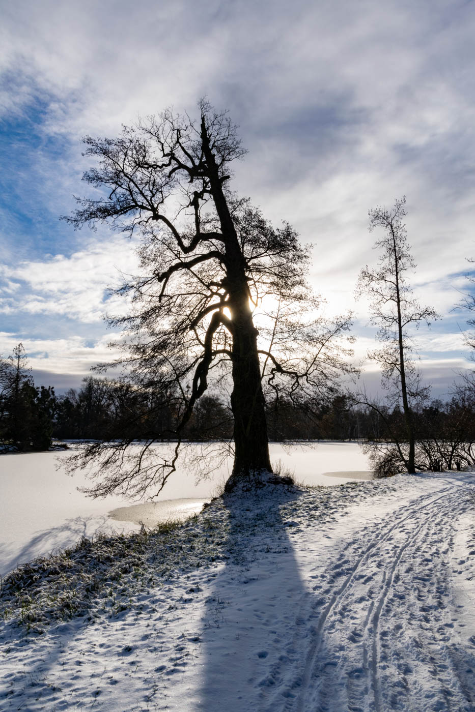 Příloha komentáře