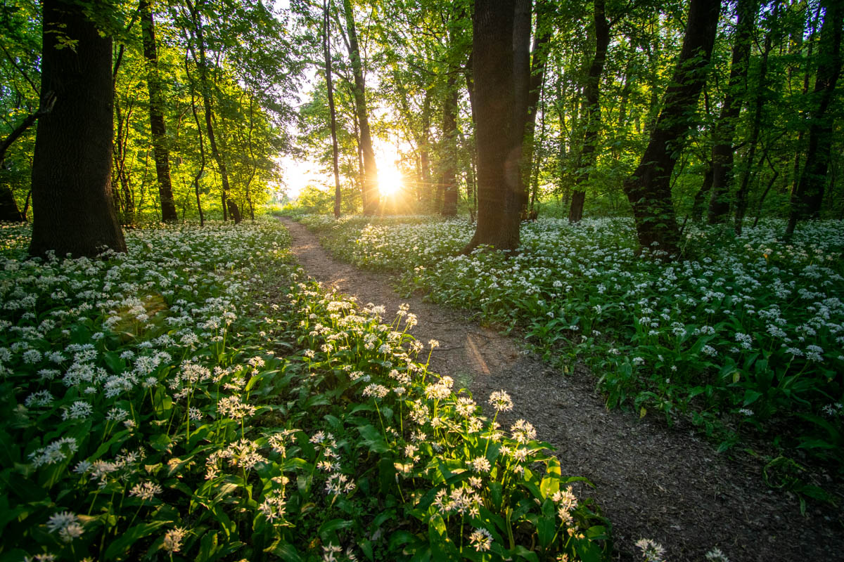 Příloha komentáře