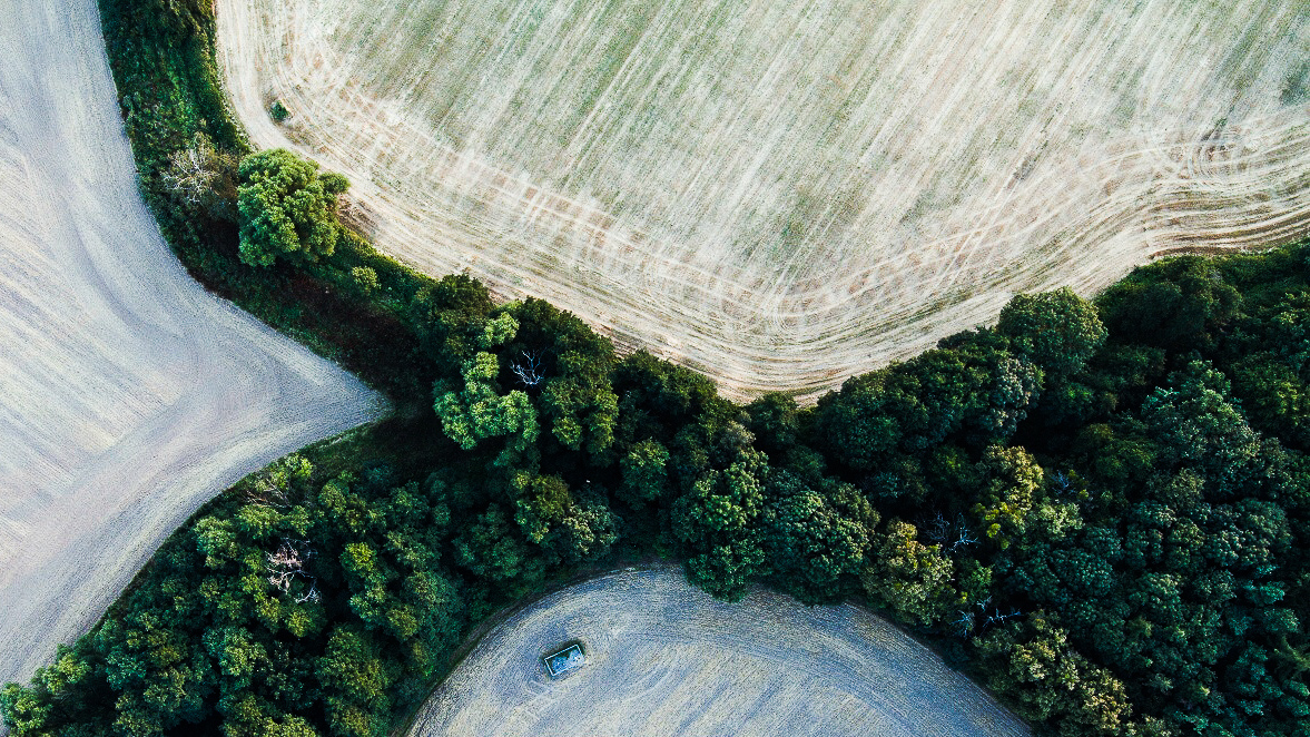 Příloha komentáře