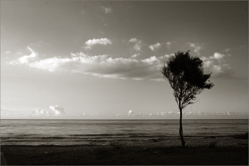 Příloha komentáře