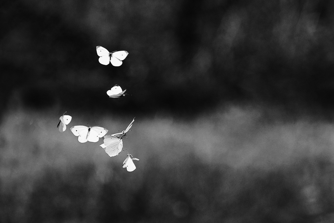 Příloha komentáře