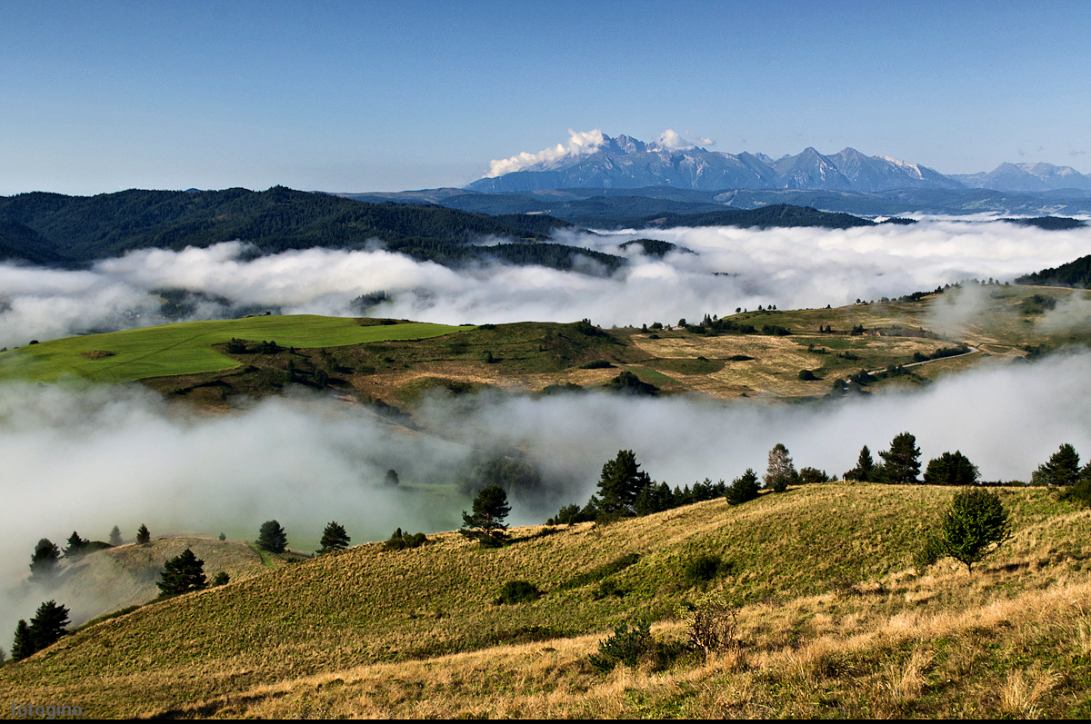 Příloha komentáře