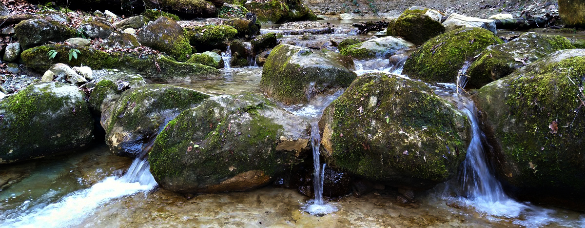 Příloha komentáře