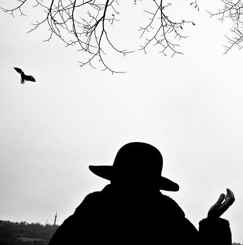 Příloha komentáře