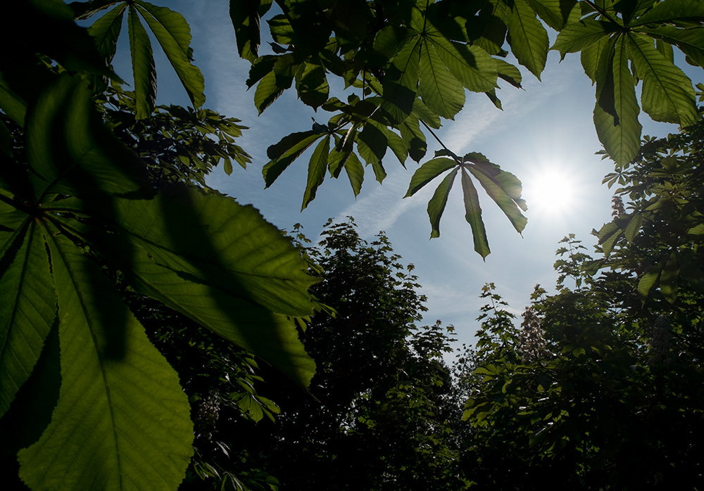 Příloha komentáře