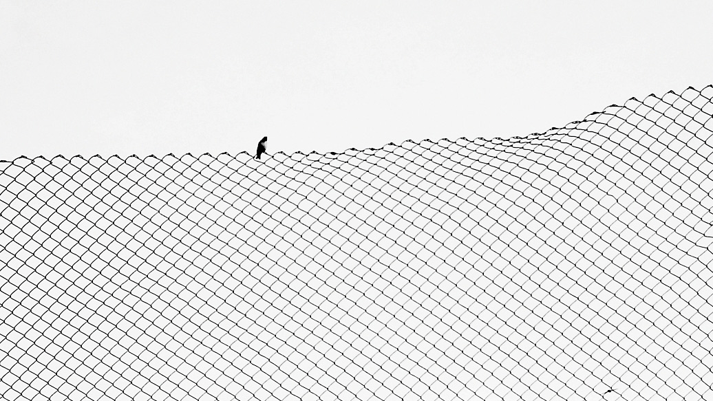 Příloha komentáře