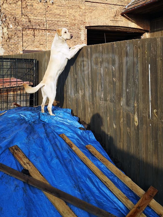 Příloha komentáře