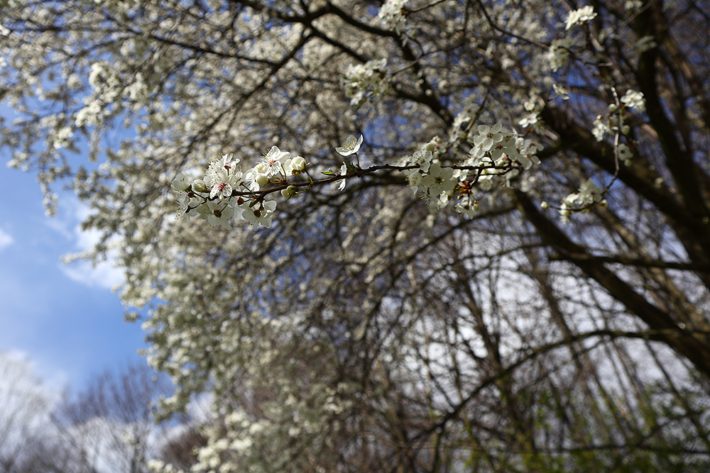 Příloha komentáře