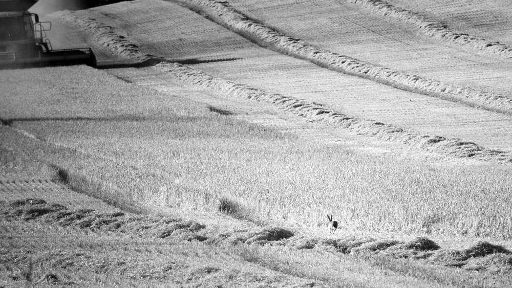 Příloha komentáře