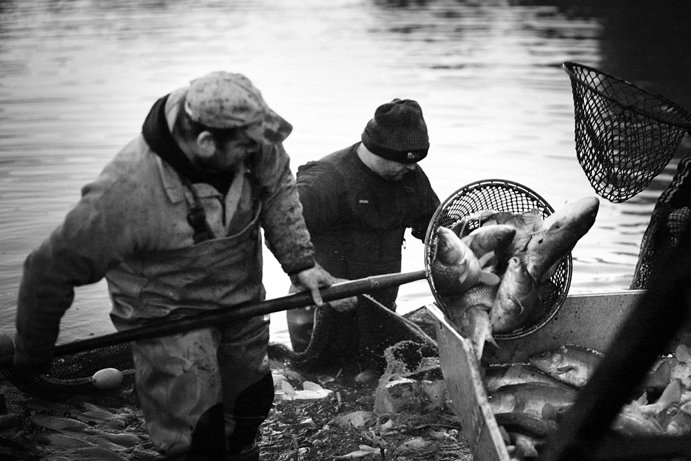 Příloha komentáře