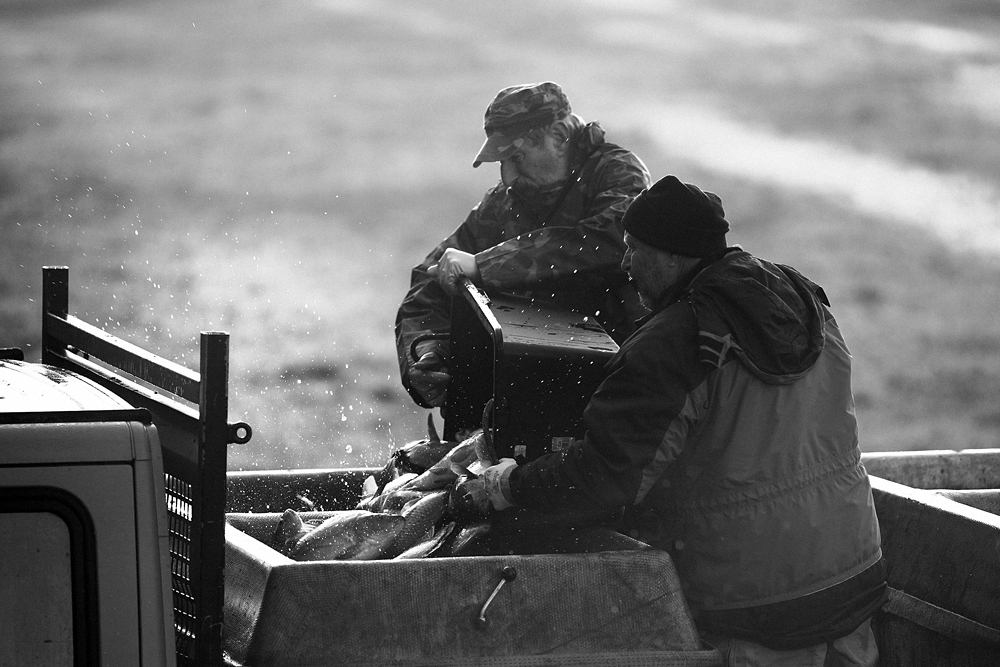 Příloha komentáře