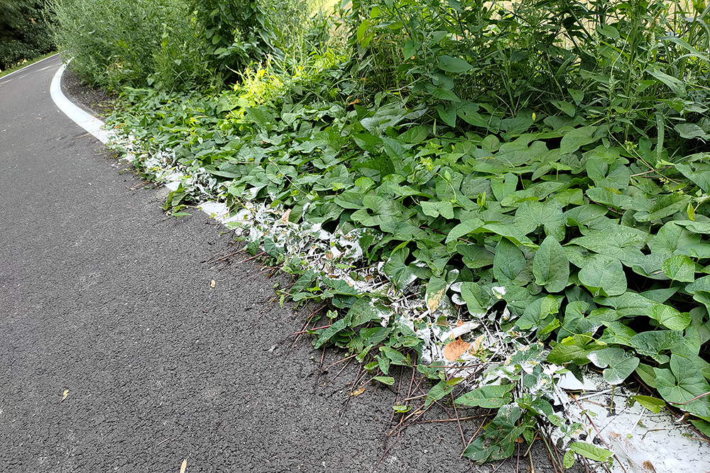 Příloha komentáře