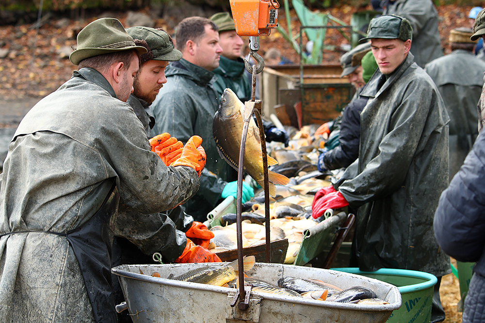 Příloha komentáře