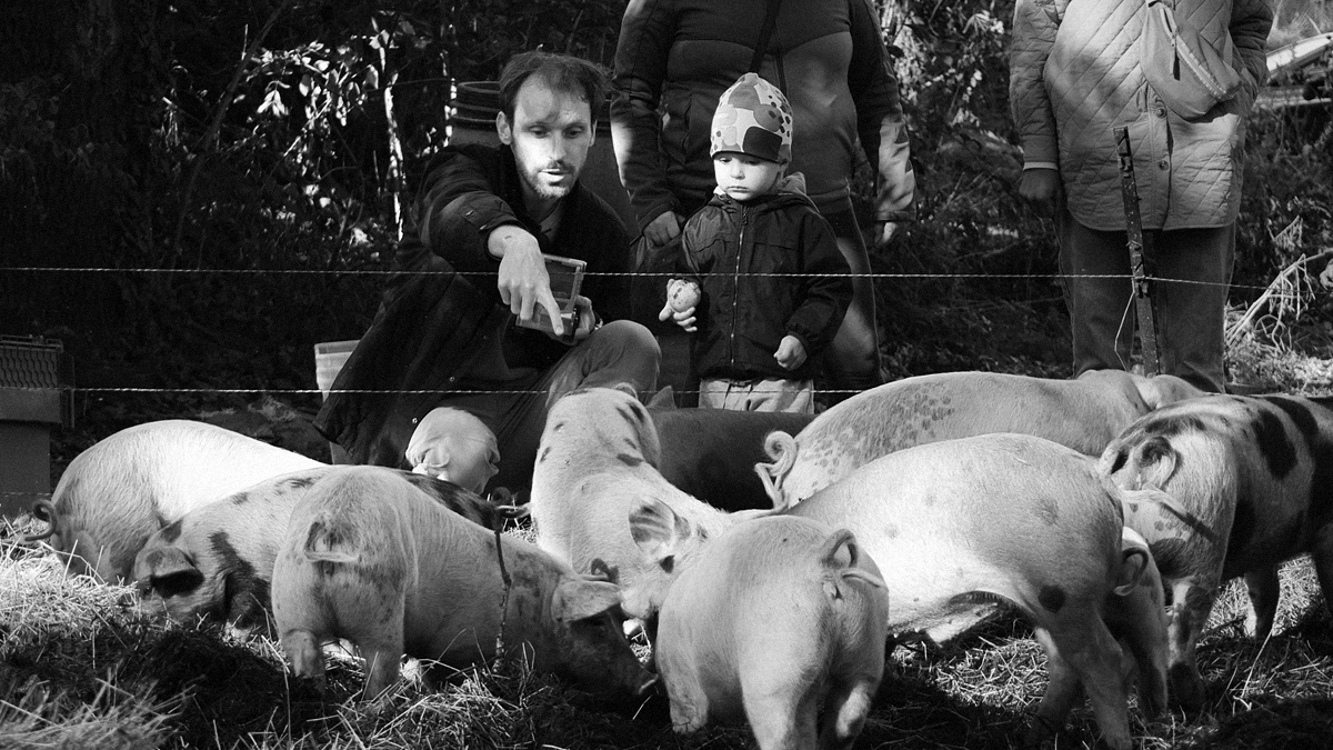 Příloha komentáře