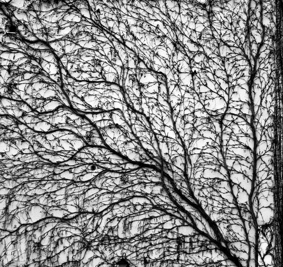 Příloha komentáře