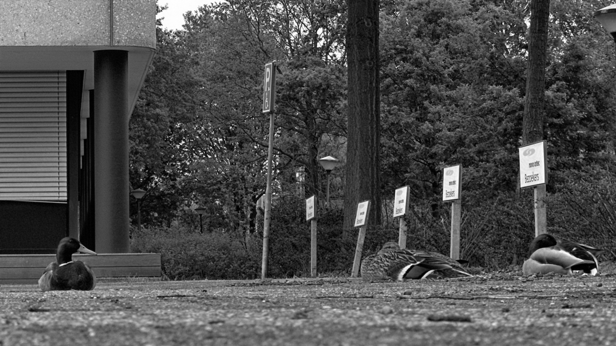 Příloha komentáře