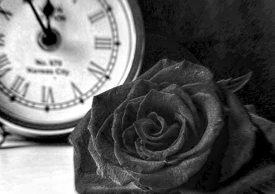 Příloha komentáře