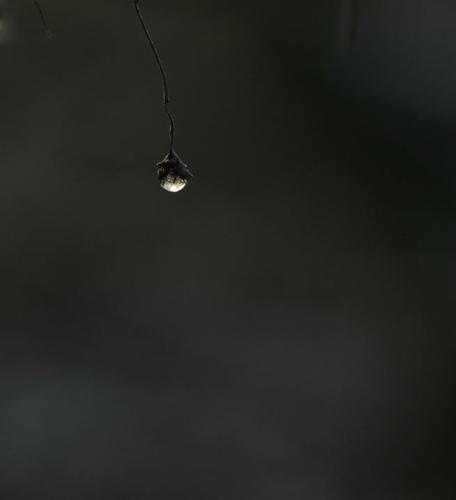 Příloha komentáře