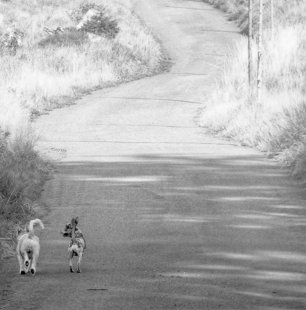 Příloha komentáře