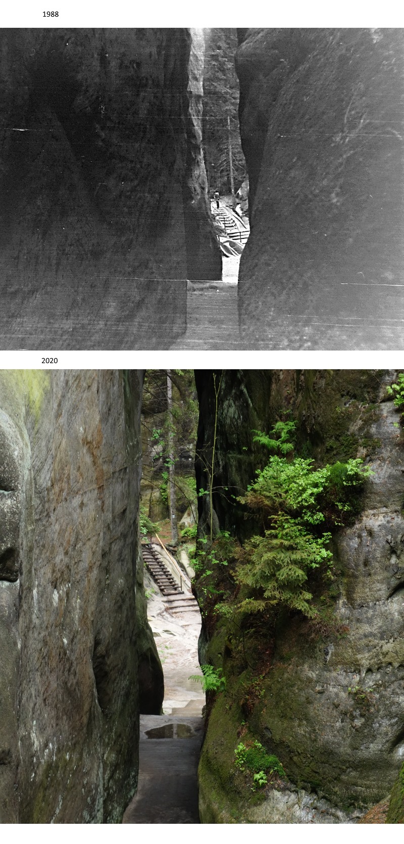 Příloha komentáře