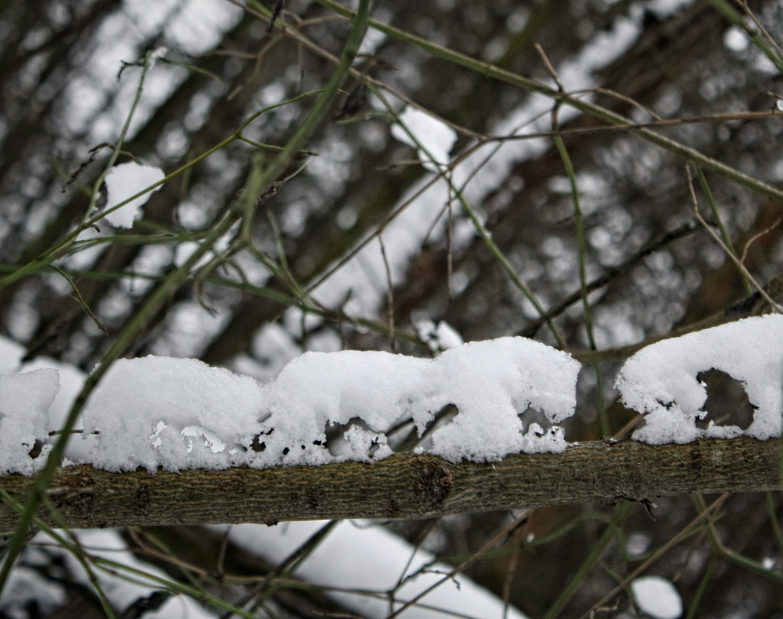 Příloha komentáře