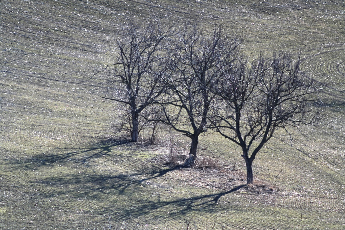 Příloha komentáře