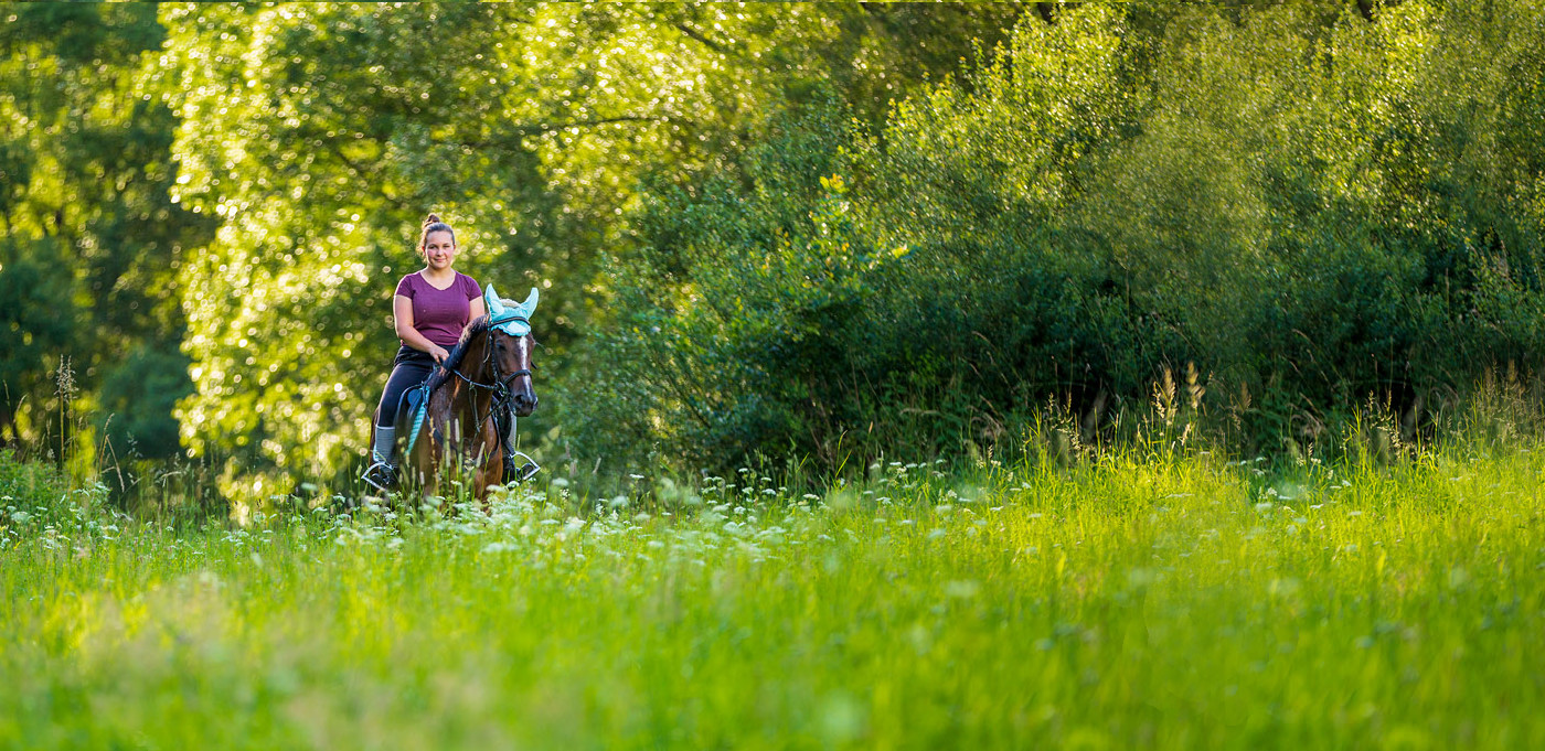 Příloha komentáře