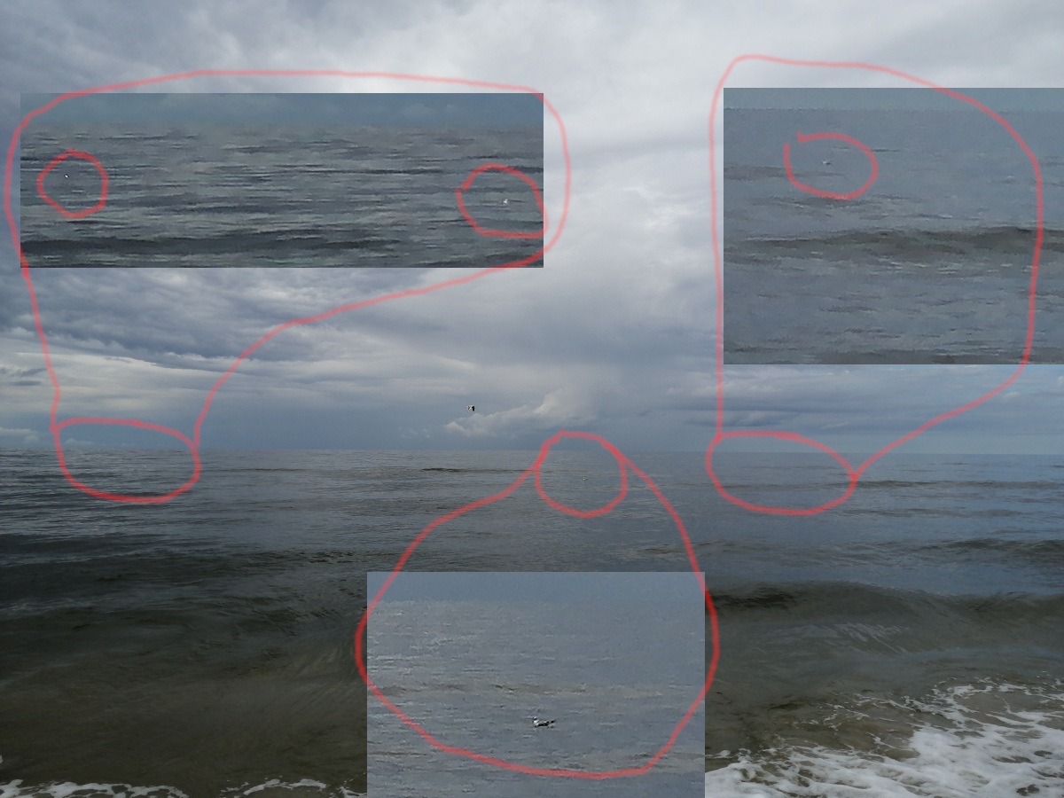 Příloha komentáře