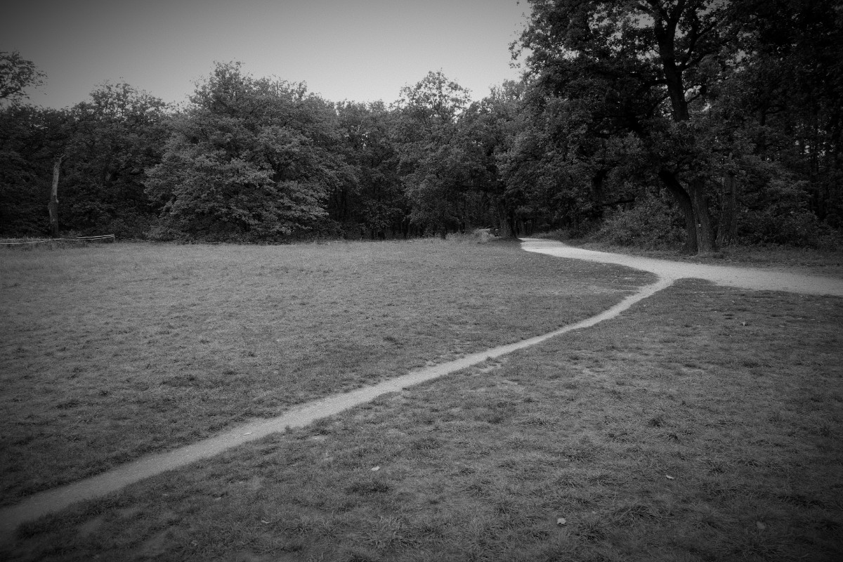 Příloha komentáře