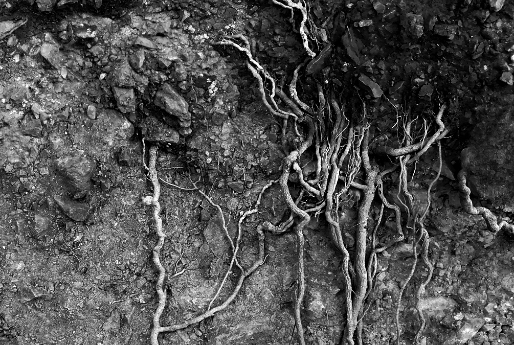 Příloha komentáře