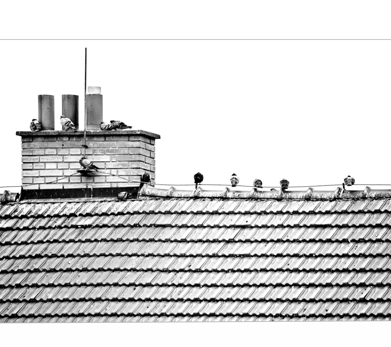 Příloha komentáře