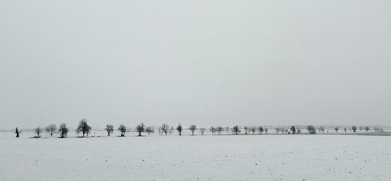 Příloha komentáře