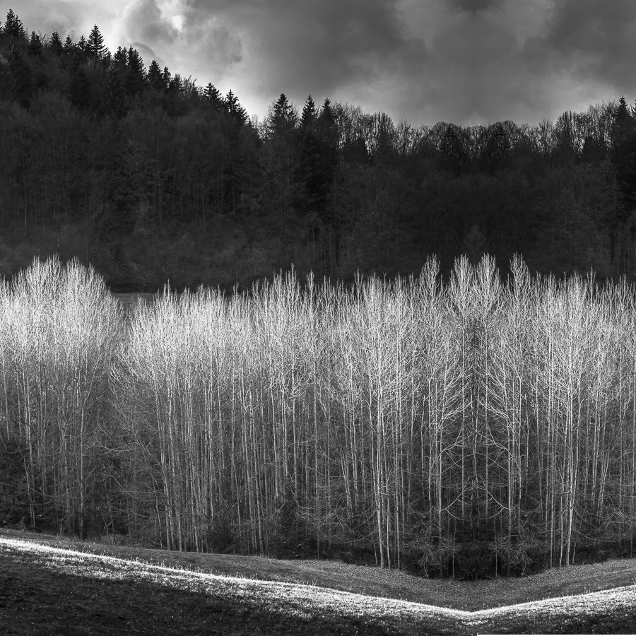 Příloha komentáře