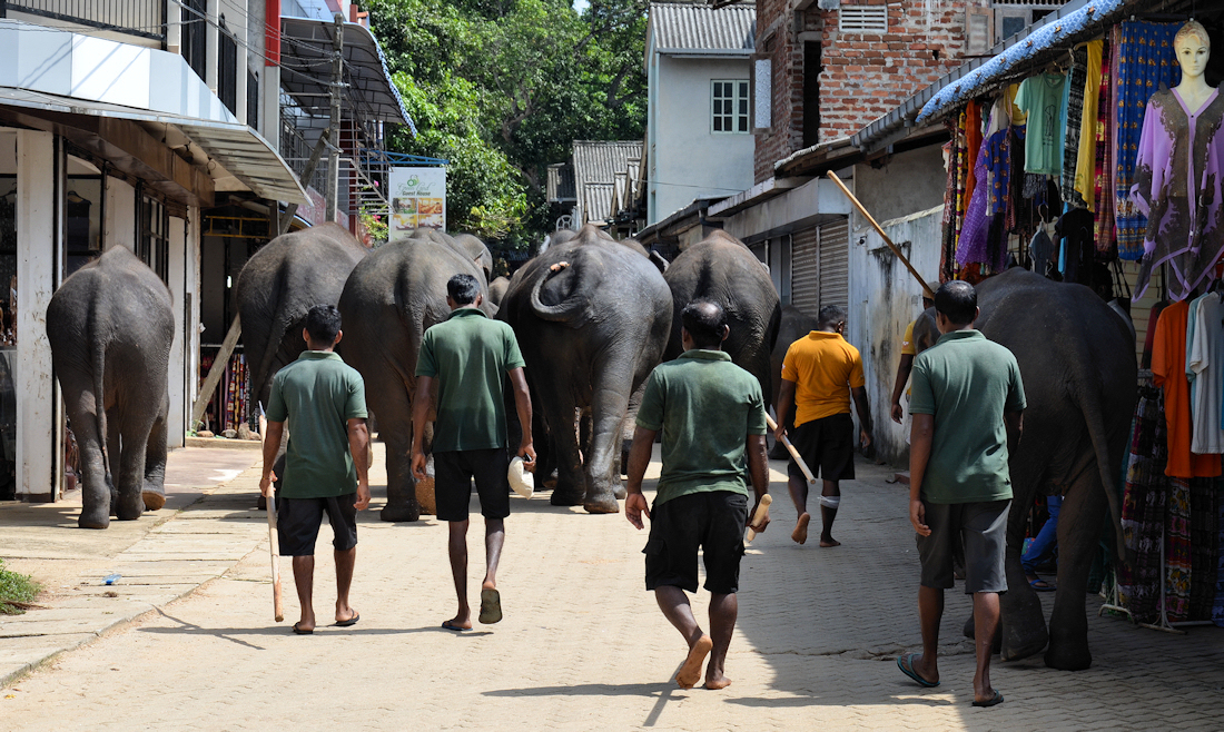 Příloha komentáře
