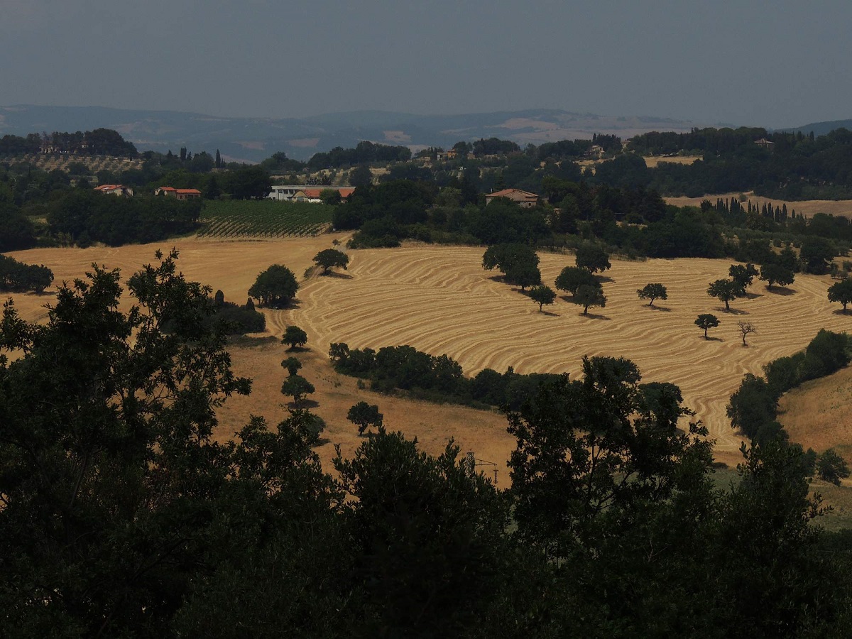 Příloha komentáře