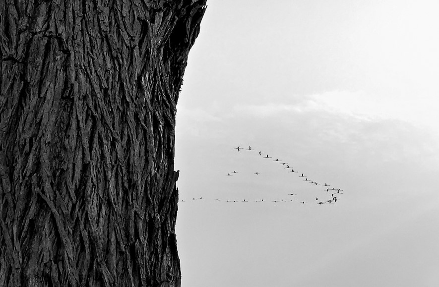 Příloha komentáře