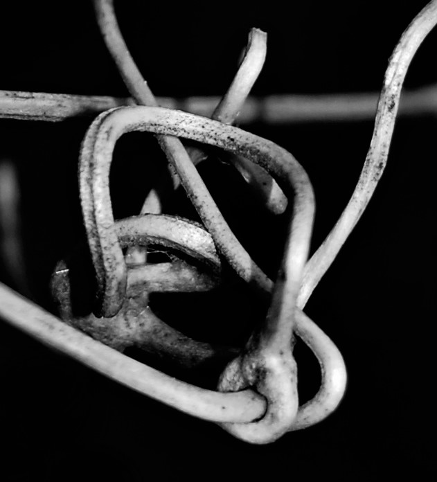 Příloha komentáře