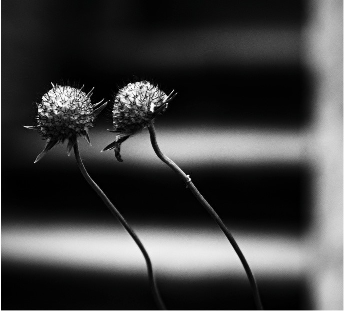 Příloha komentáře