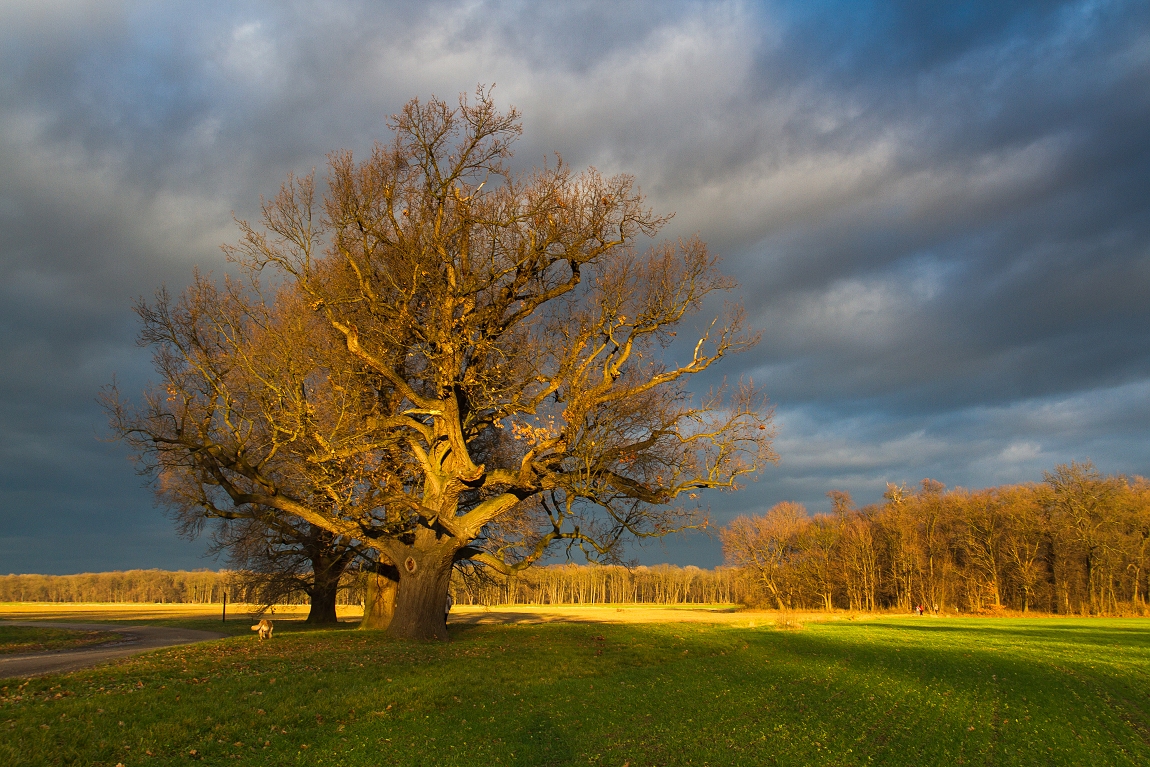 Příloha komentáře