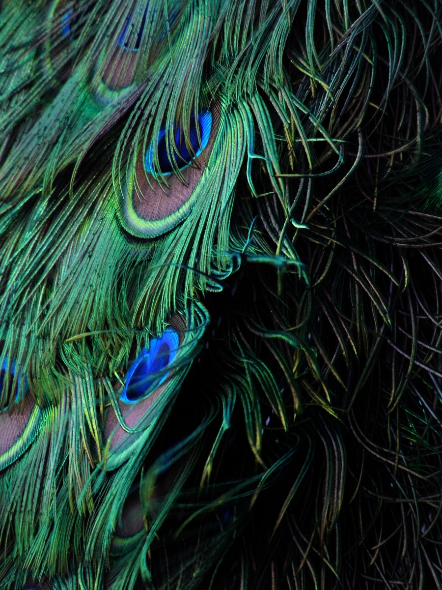 Příloha komentáře