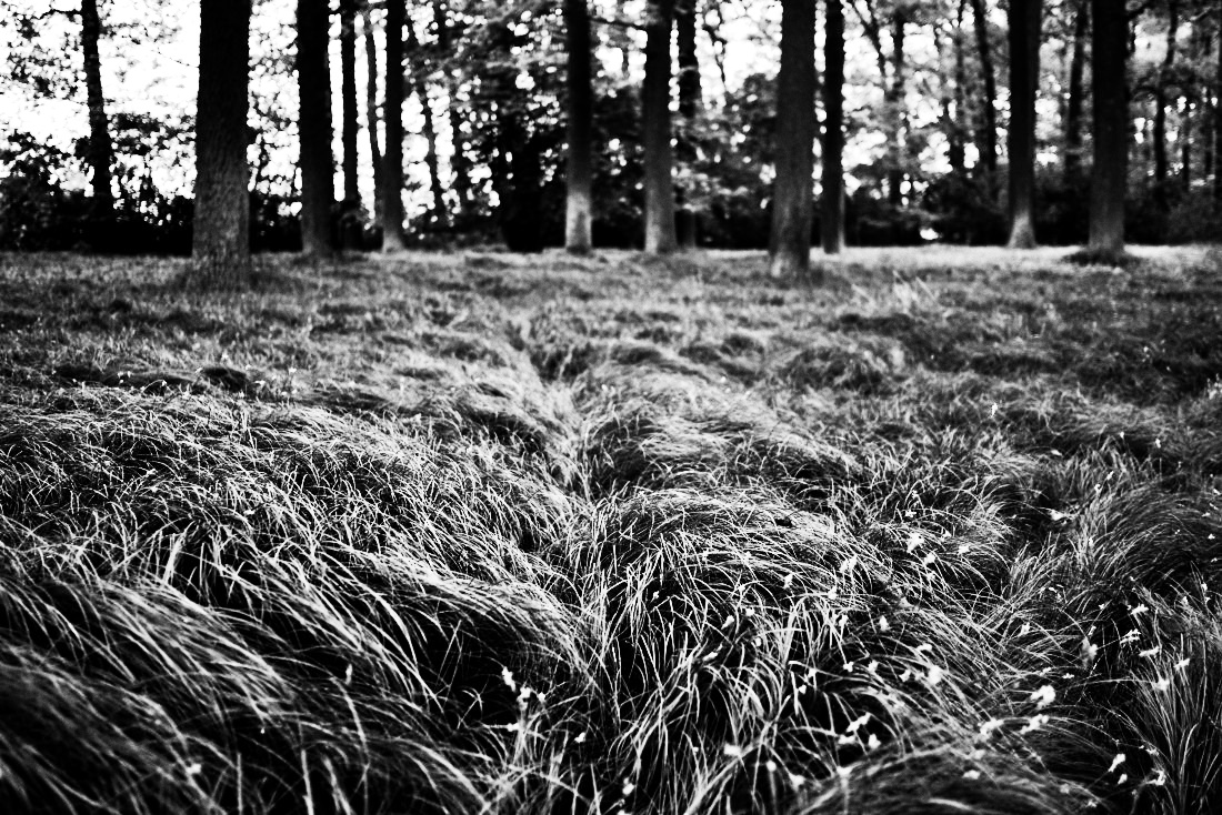 Příloha komentáře