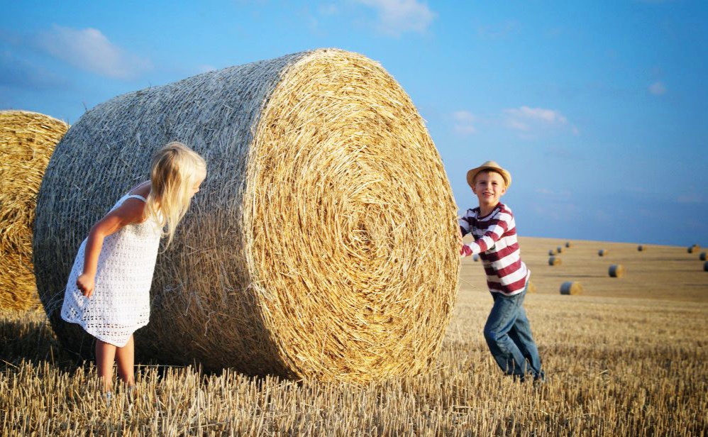Příloha komentáře